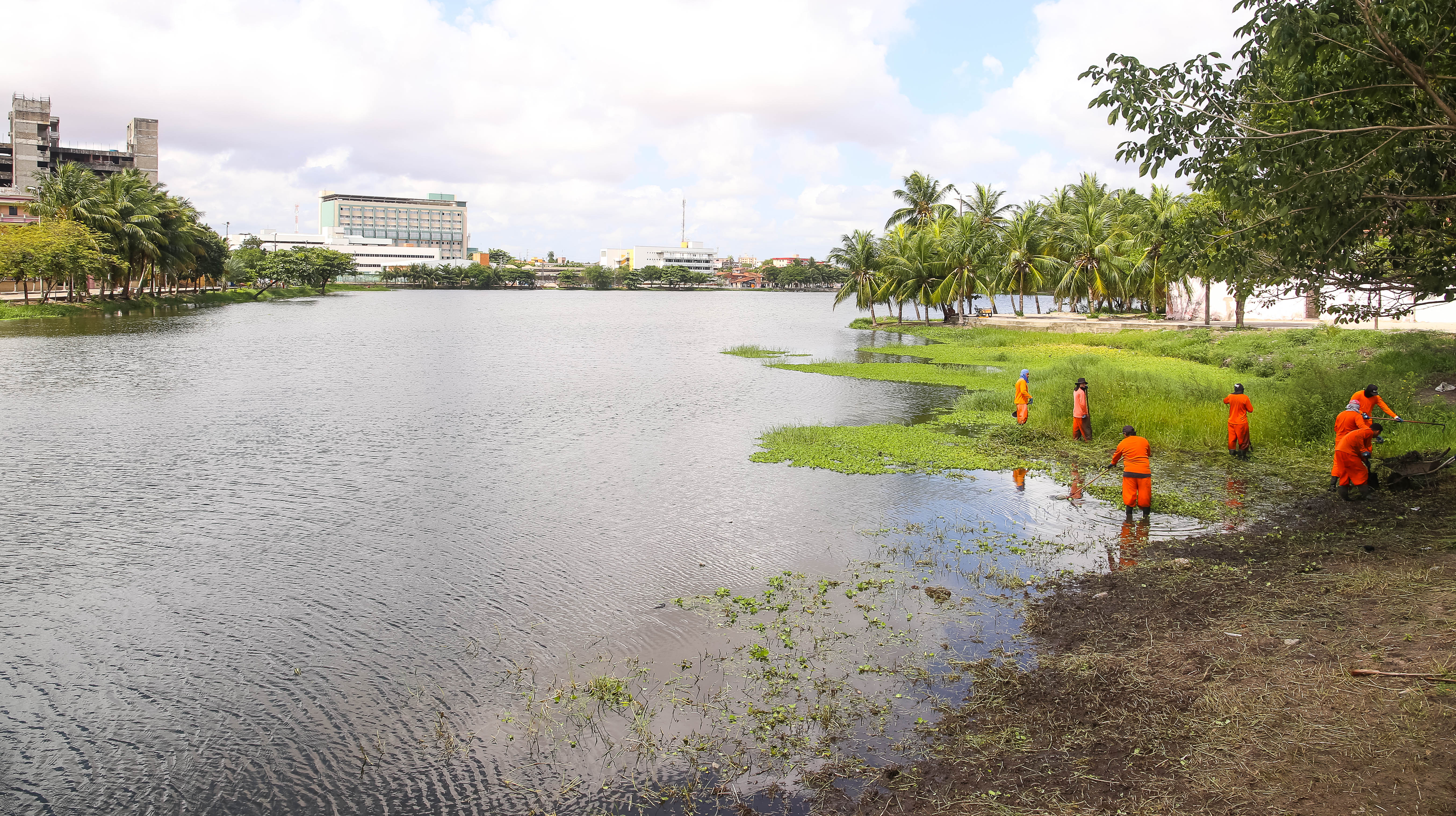 grupo de operários limpa a lagoa do porangabussu